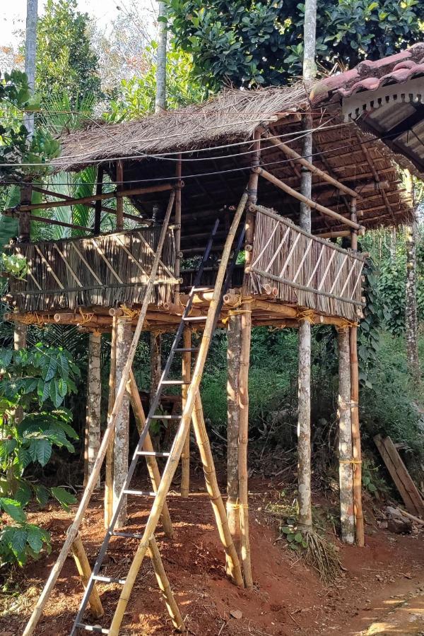 Wayanad Days Villa Mananthavadi Kültér fotó