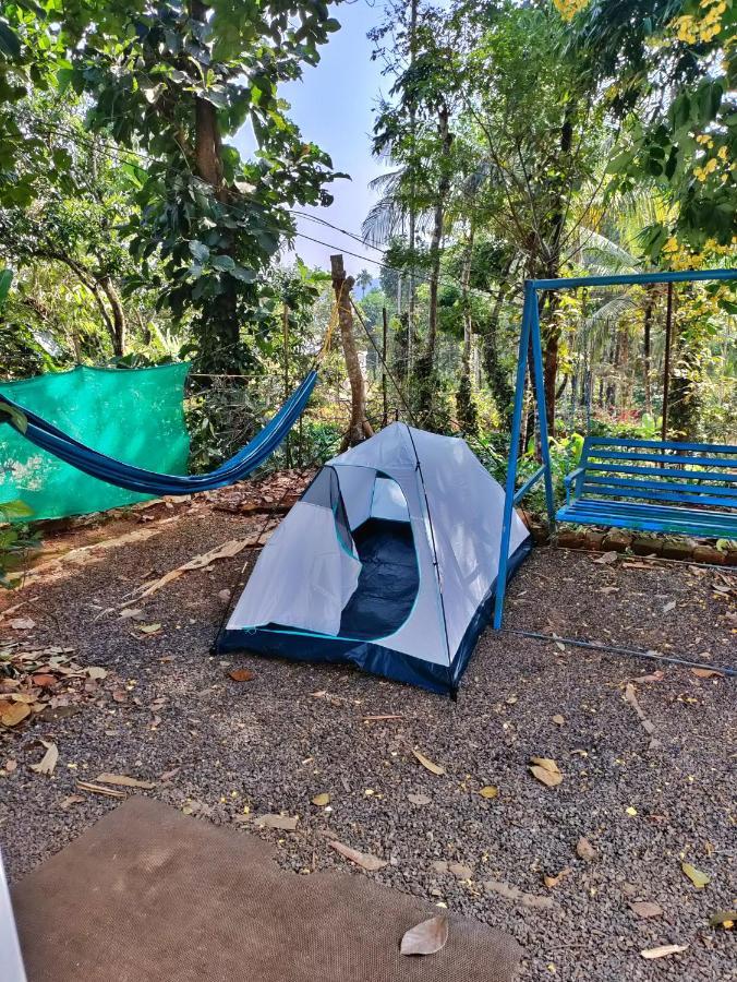 Wayanad Days Villa Mananthavadi Kültér fotó