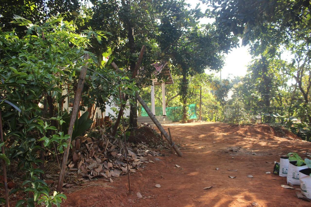 Wayanad Days Villa Mananthavadi Kültér fotó